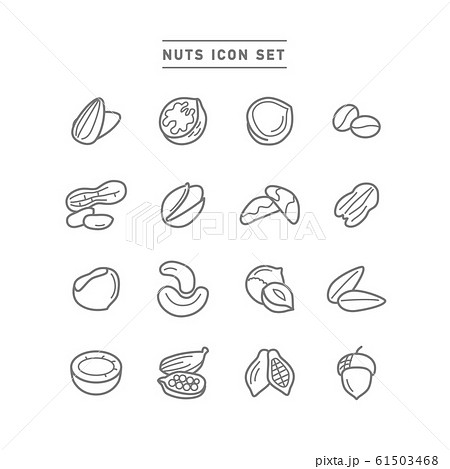 Nuts Icon Setのイラスト素材