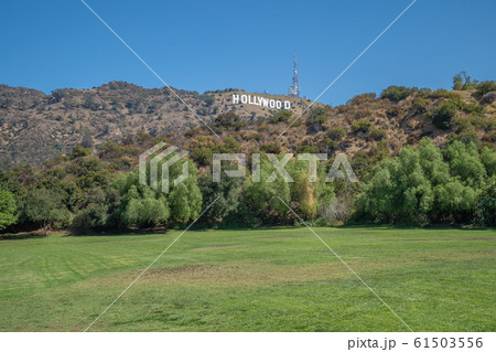 green meadow in front of a hill with hollywood letters made for tourists taking pictures of the symbol of America 61503556