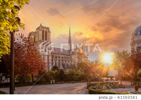 Paris, Notre Dame cathedral with spring trees in France 61503561