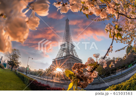 Eiffel Tower during spring time in Paris, France 61503563