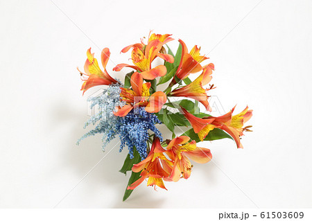 アルストロメリアとアスチルベの花束 アルストロメリアとアスチルベの花束 61503609