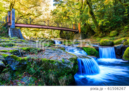 菊池渓谷の秋景色 【熊本県菊池市】 菊池渓谷の秋景色 【熊本県菊池市】 61506267