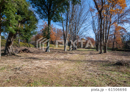埼玉県立嵐山史跡の博物館 菅谷館跡 本郭付近 埼玉県立嵐山史跡の博物館 菅谷館跡 本郭付近 61506698