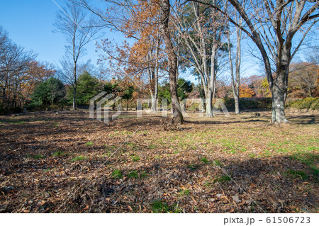 埼玉県立嵐山史跡の博物館　　菅谷館跡　本郭付近 61506723
