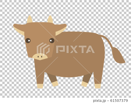 Cow 3 61507379