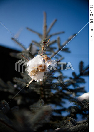 花の妖精 61507449