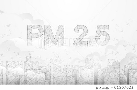 Pollution PM2.5 in the capital city. Toxic haze in the city. Vector illustration Pollution PM2.5 in the capital city. Toxic haze in the city. Vector illustration 61507623