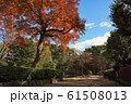 紅葉と歩道 61508013