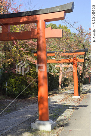 吉田神社 末社 竹中稲荷社 鳥居群 吉田神社 末社 竹中稲荷社 鳥居群 61508458