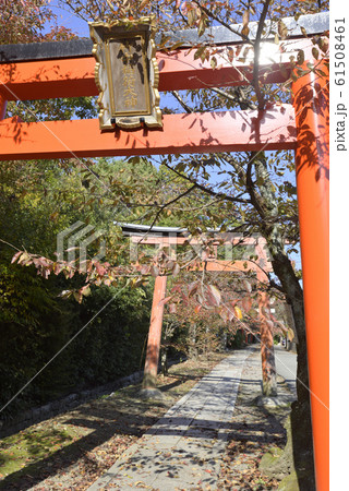 吉田神社 末社 竹中稲荷社 鳥居群 吉田神社 末社 竹中稲荷社 鳥居群 61508461