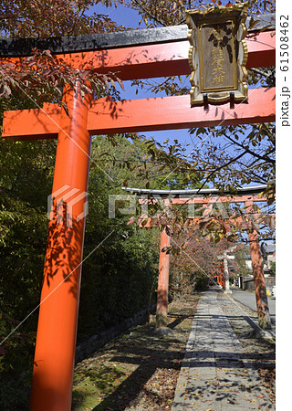 吉田神社 末社 竹中稲荷社 鳥居群 吉田神社 末社 竹中稲荷社 鳥居群 61508462