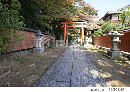 吉田神社 末社 竹中稲荷社 鳥居群 吉田神社 末社 竹中稲荷社 鳥居群 61508464