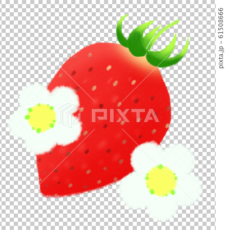 Strawberry  61508666