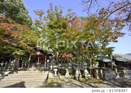 吉田神社 末社 竹中稲荷社 社殿(拝殿・本殿) 吉田神社 末社 竹中稲荷社 社殿(拝殿・本殿) 61508987