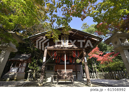 吉田神社　末社　竹中稲荷社　社殿（拝殿・本殿） 61508992