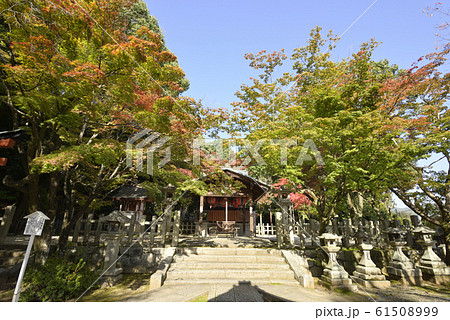 吉田神社 末社 竹中稲荷社 社殿(拝殿・本殿) 吉田神社 末社 竹中稲荷社 社殿(拝殿・本殿) 61508999