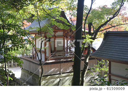 吉田神社 末社 竹中稲荷社 社殿(拝殿・本殿) 吉田神社 末社 竹中稲荷社 社殿(拝殿・本殿) 61509009