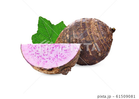 Taro isolated on white background. Taro isolated on white background. 61509081