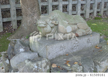 吉田神社 末社 天満宮社 神牛 吉田神社 末社 天満宮社 神牛 61509161