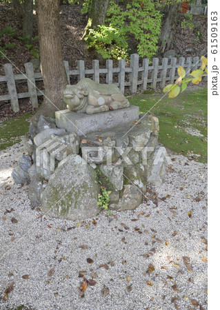 吉田神社　末社　天満宮社　神牛 61509163