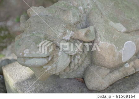 吉田神社 末社 天満宮社 神牛 吉田神社 末社 天満宮社 神牛 61509164