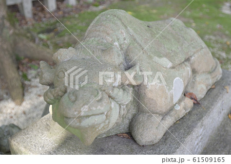吉田神社　末社　天満宮社　神牛 61509165