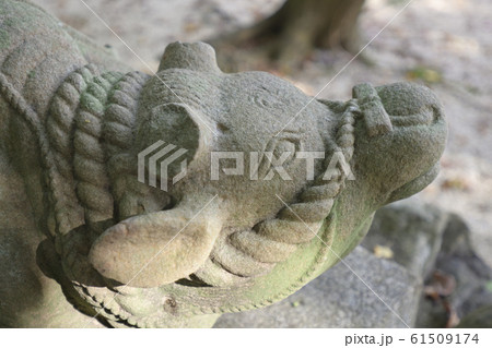 吉田神社　末社　天満宮社　神牛 61509174