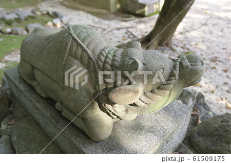 吉田神社　末社　天満宮社　神牛 61509175