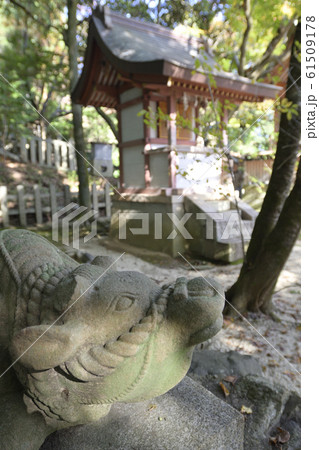 吉田神社　末社　天満宮社　神牛 61509178