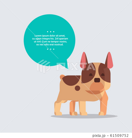 cute French Bulldog dog with chat bubble speech furry human friend home pet concept cartoon animal full length 61509752