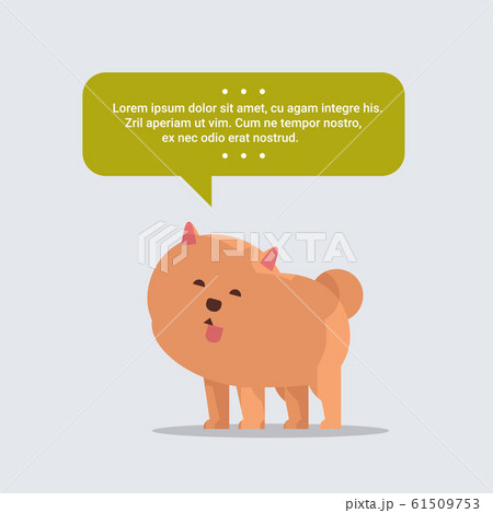 cute spitz dog with chat bubble speech furry human friend home pet concept cartoon animal full length 61509753