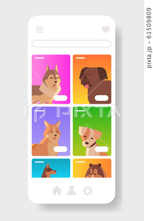 different dogs portraits furry human friends pets website or online shop cartoon animals smartphone screen mobile app copy space vertical different dogs portraits furry human friends pets website or online shop cartoon animals smartphone screen mobile app copy space vertical 61509809