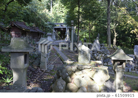 奥之院　竹剱稲荷神社 61509915