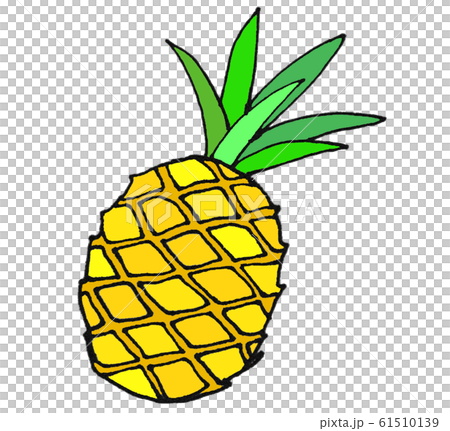 pineapple pineapple 61510139