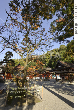 吉田神社 本宮 吉田神社 本宮 61510142