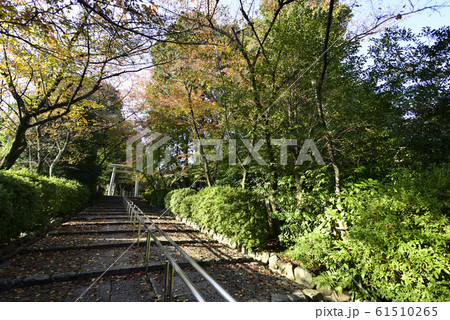 宗忠神社 宗忠神社 61510265