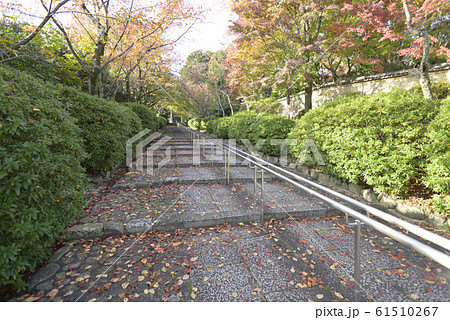 宗忠神社 宗忠神社 61510267