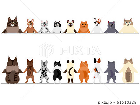 笑顔の猫のボーダー　 前後 61510328