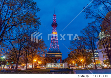 札幌　テレビ塔　都市風景 夜 61510416