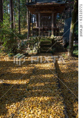 鎌形八幡神社　埼玉県嵐山町 61510771