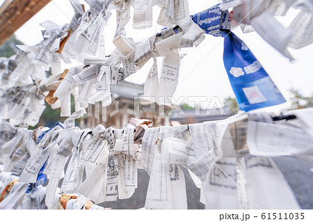 Saga, Japan - Nov. 12, 2018: Japanese random fortune telling paper (Omikuji) folded and tied on rope wires (Omikuji kake) in traditional temple, concept of bringing blessing. Saga, Japan - Nov. 12, 2018: Japanese random fortune telling paper (Omikuji) folded and tied on rope wires (Omikuji kake) in traditional temple, concept of bringing blessing. 61511035