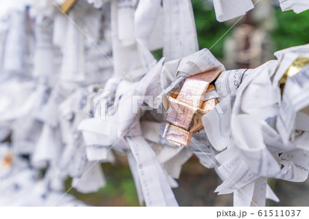 Saga, Japan - Nov. 12, 2018: Japanese random fortune telling paper (Omikuji) folded and tied on rope wires (Omikuji kake) in traditional temple, concept of bringing blessing. Saga, Japan - Nov. 12, 2018: Japanese random fortune telling paper (Omikuji) folded and tied on rope wires (Omikuji kake) in traditional temple, concept of bringing blessing. 61511037