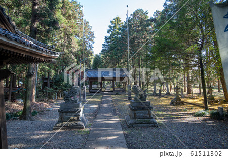 鎌形八幡神社　境内　埼玉県嵐山町 61511302