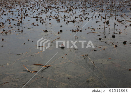 漢江 南漢江 北漢江 61511368