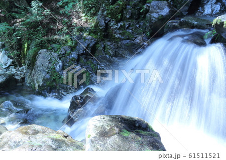 長野県　阿寺渓谷 61511521