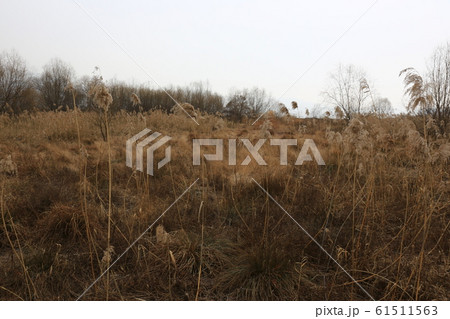 漢江 北漢江 南漢江 61511563