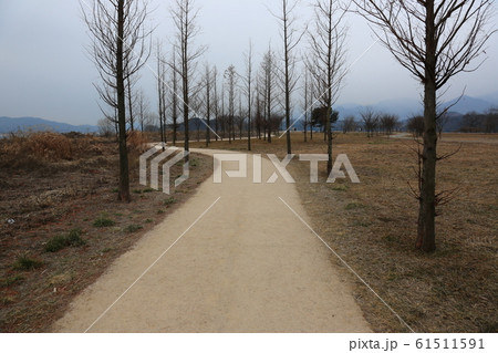 漢江 北漢江 南漢江 61511591