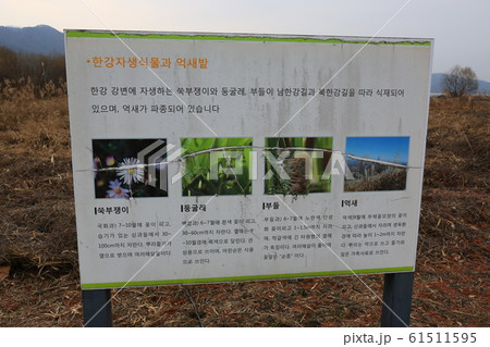 漢江 北漢江 南漢江 61511595