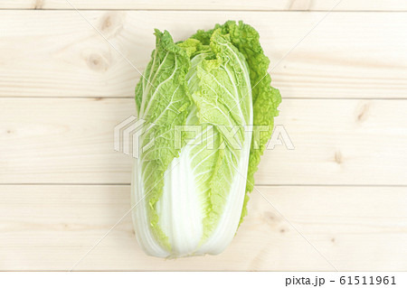 白菜 白菜 61511961