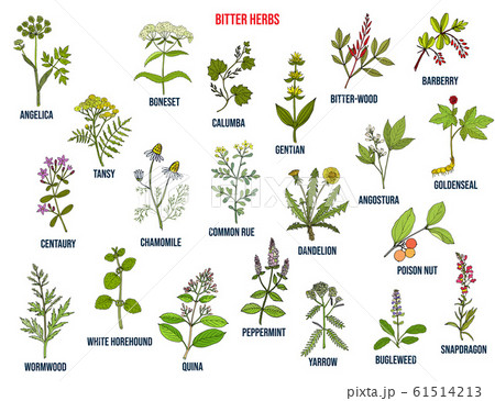 Bitter herbs collection 61514213